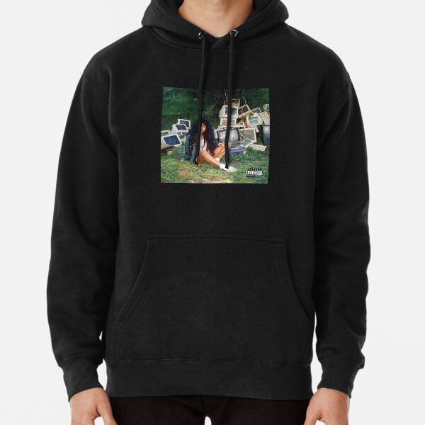 SZA CTRL Pullover Hoodie RB0903 product Offical SZA Merch